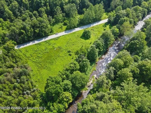 a view of a garden with a tree