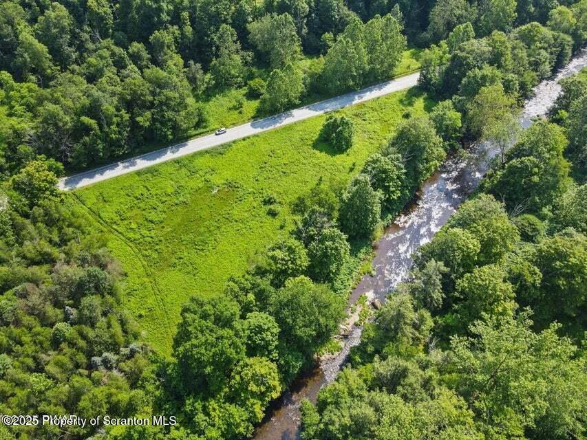 a view of a garden with a tree