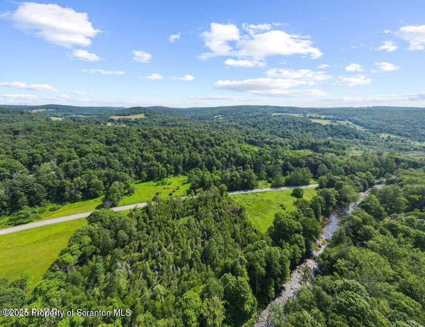 Town Hill Road Prompton, PA 18456 - Photo 4 of 11 Ariel