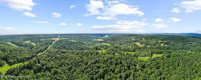 a view of a big yard with lots of green space