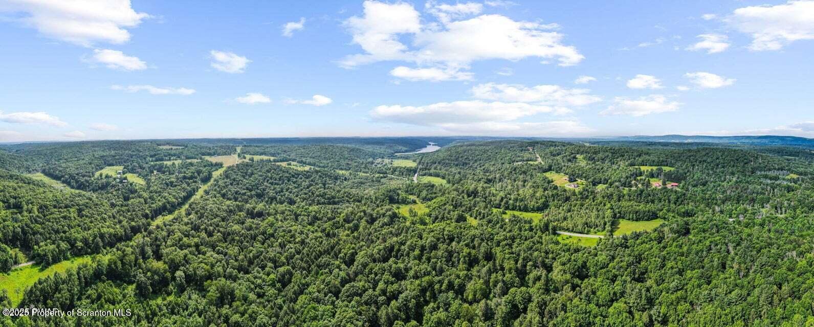 Town Hill Road Prompton, PA 18456 - Photo 7 of 11 Ariel