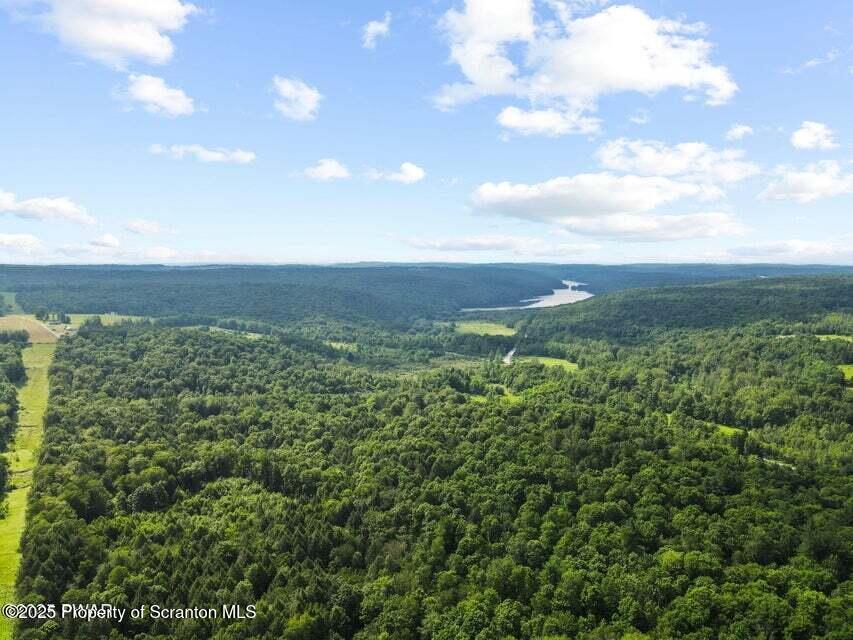 Town Hill Road Prompton, PA 18456 - Photo 8 of 11 Ariel