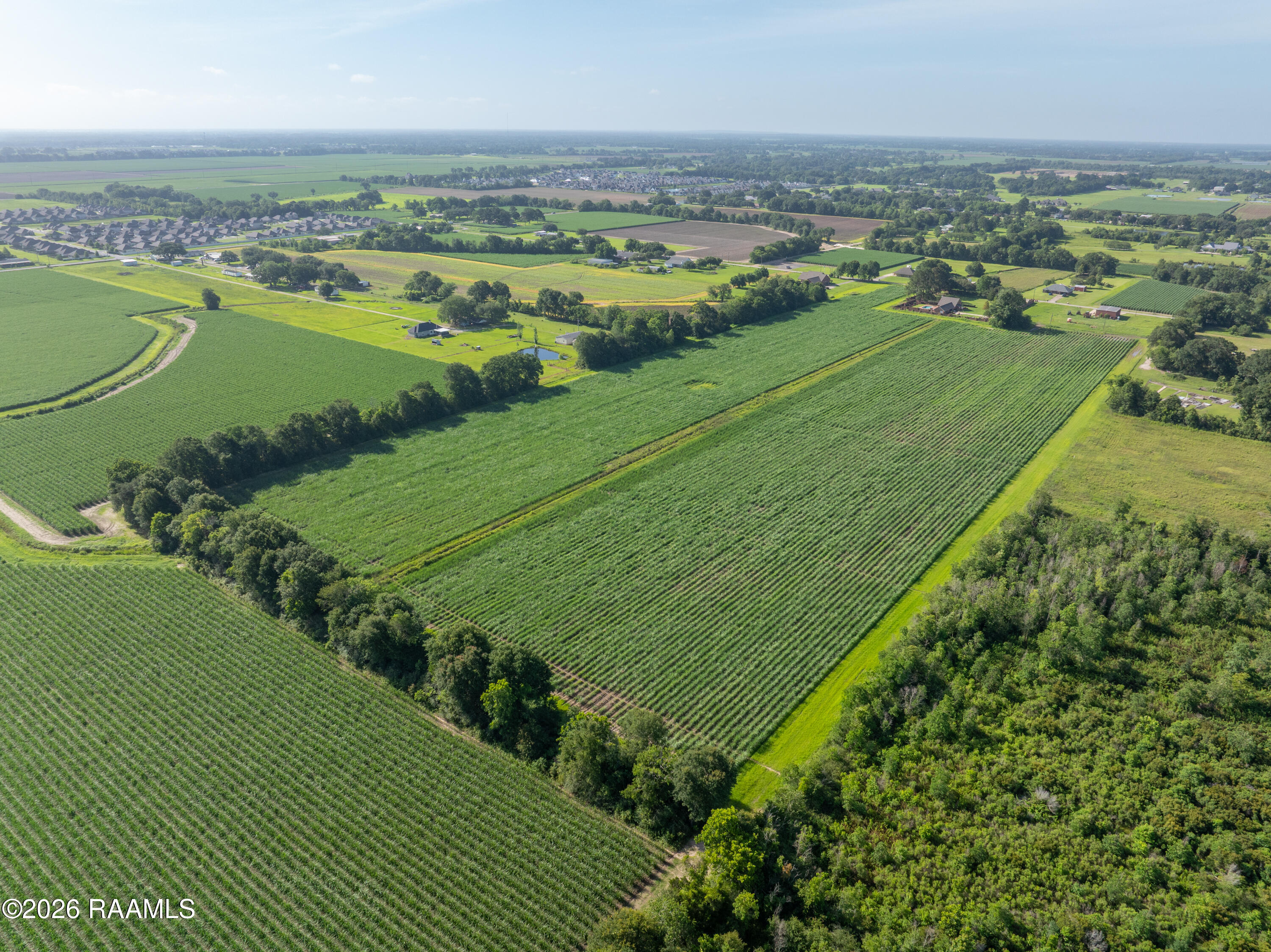 306 Simon Road Youngsville, LA 70592 - Photo 5 of 17