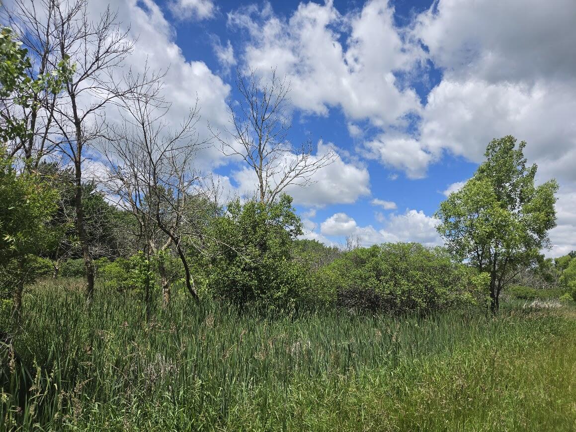 1 Tamarack Road Brillion, WI 54110 - Photo 11 of 18 Another view