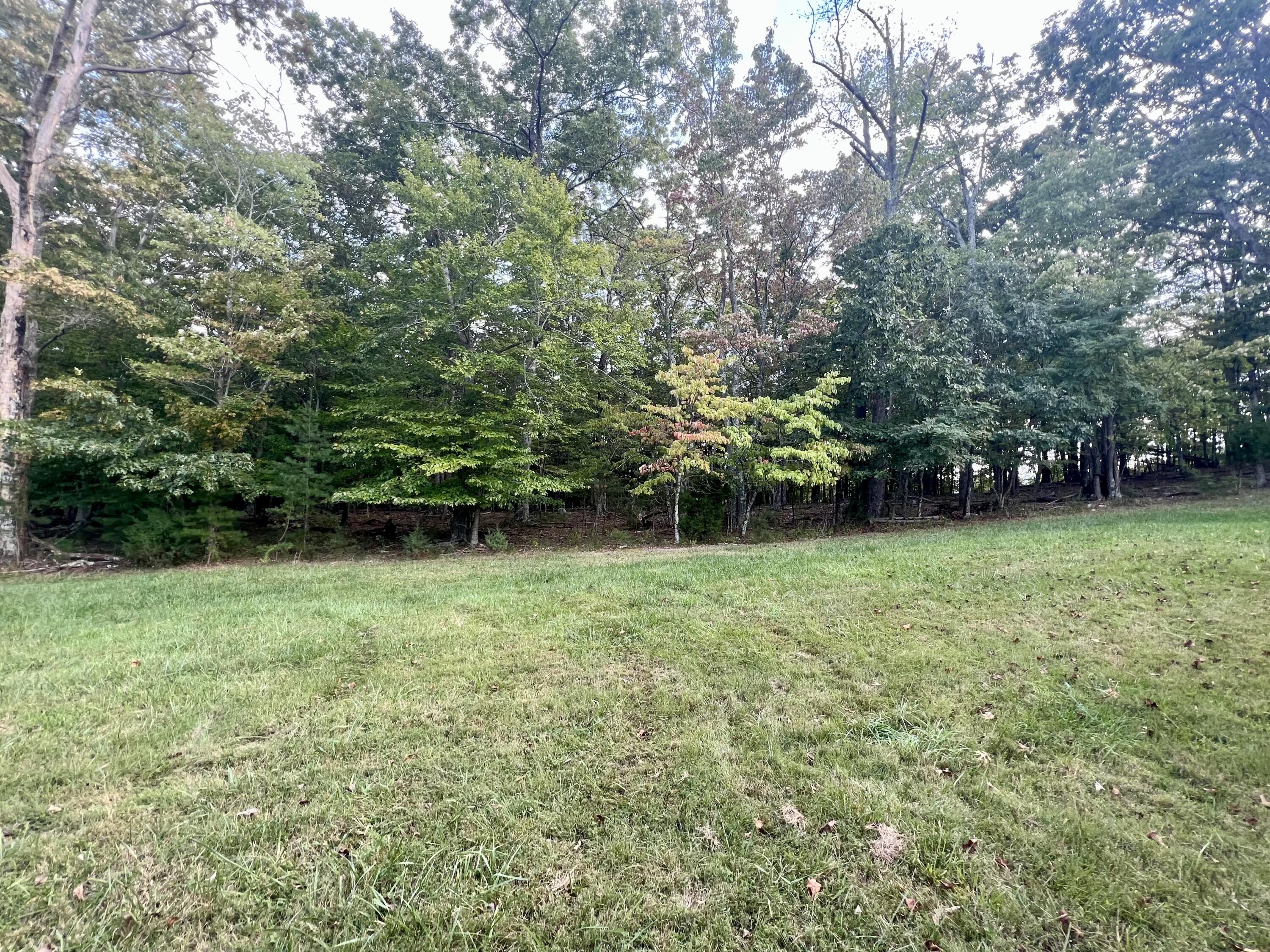 1164 Tree Top Lane Blue Ridge, VA 24064 - Photo 27 of 31 IMG_6417
