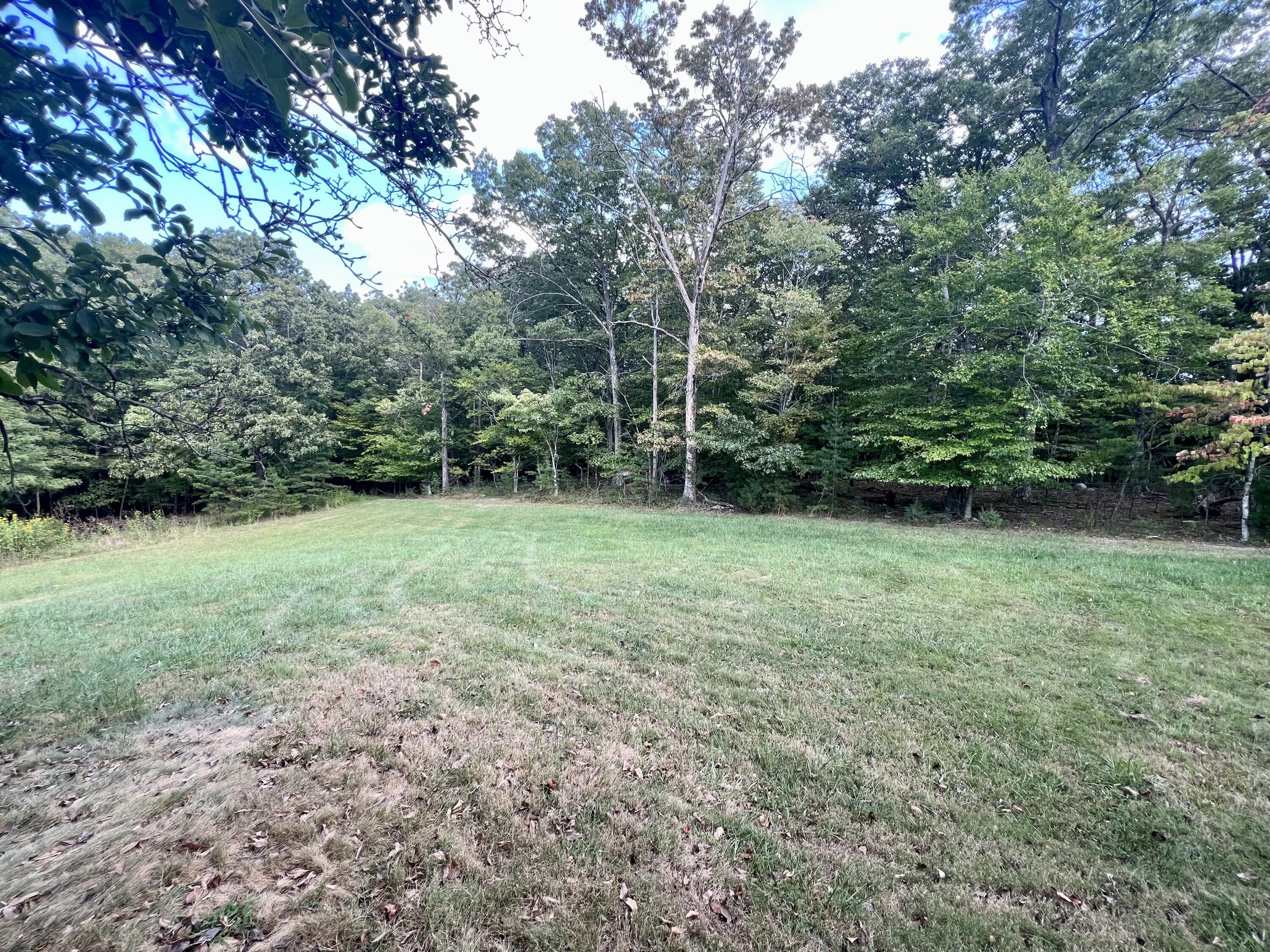 1164 Tree Top Lane Blue Ridge, VA 24064 - Photo 28 of 31 IMG_6415