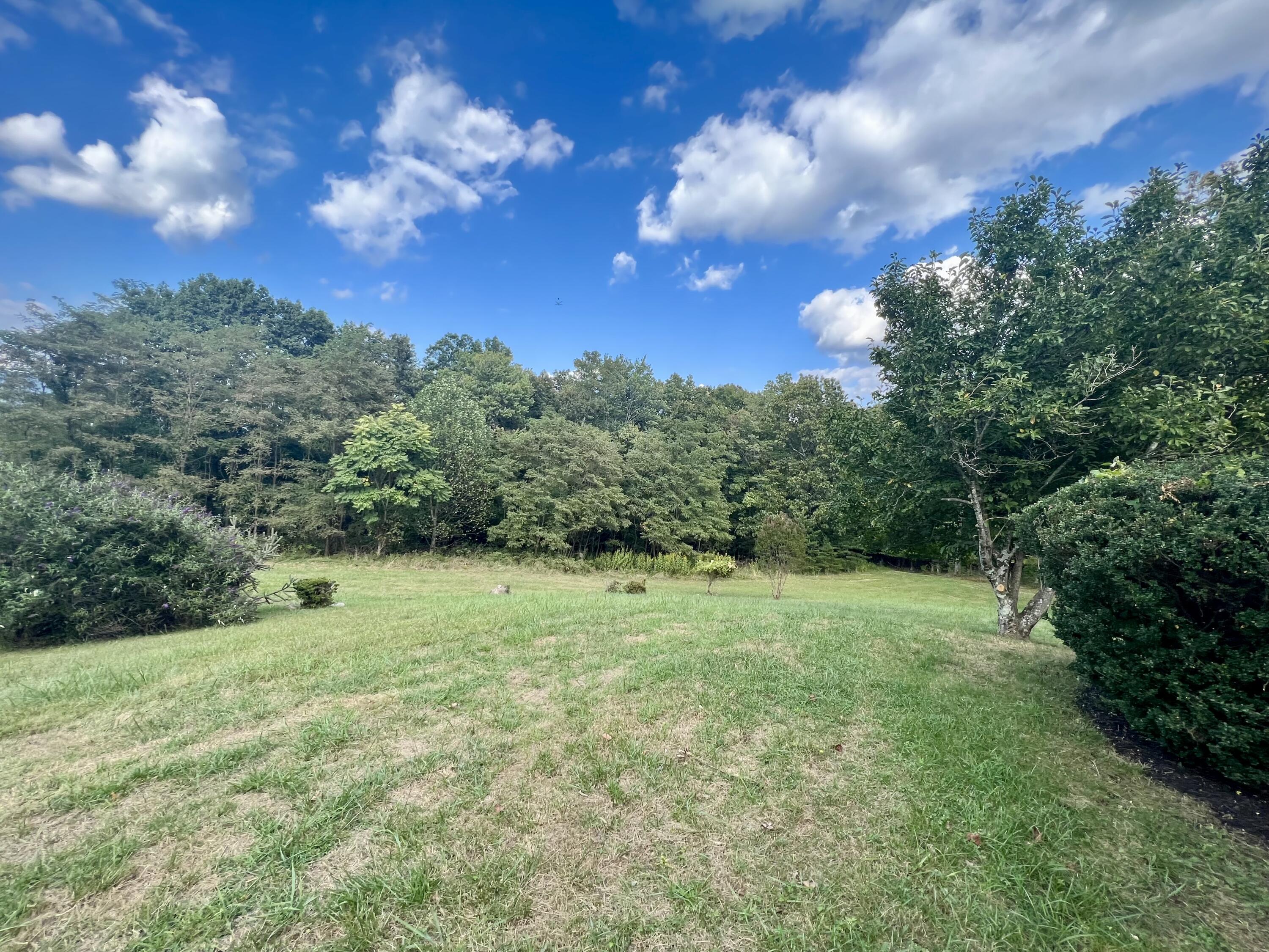 1164 Tree Top Lane Blue Ridge, VA 24064 - Photo 29 of 31 IMG_6414