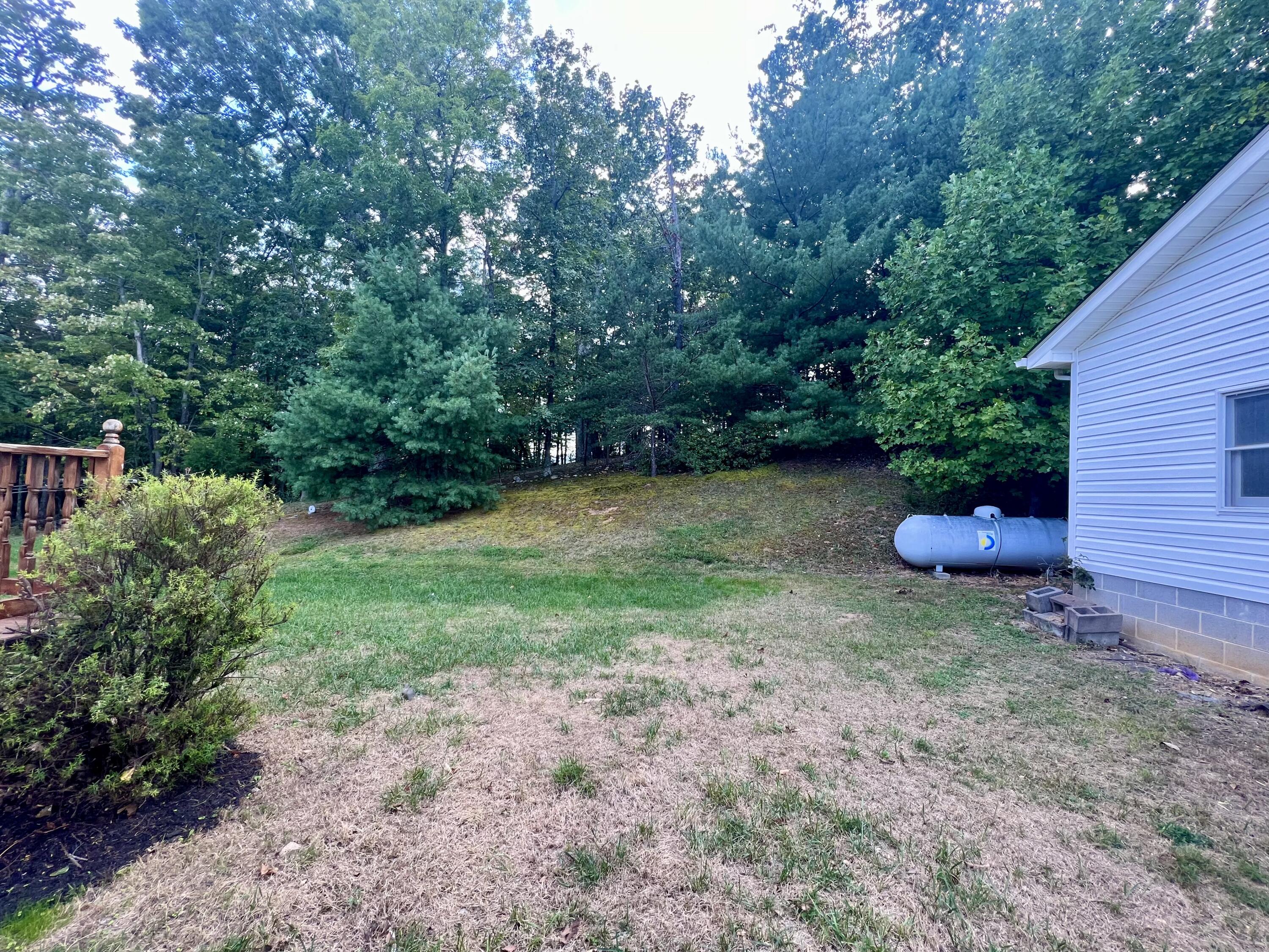 1164 Tree Top Lane Blue Ridge, VA 24064 - Photo 31 of 31 IMG_6407