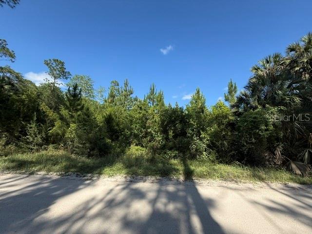 75 County Road Bunnell, FL 32110 - Photo 8 of 10 a view of a yard with a tree