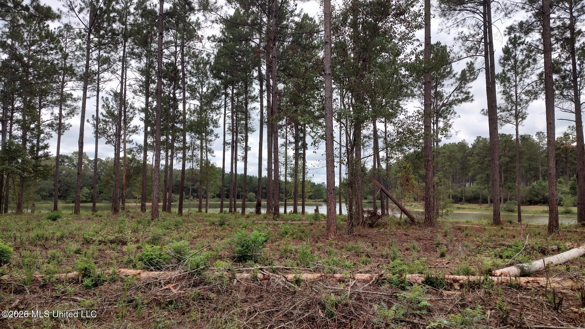 0 Ms-13 Lumberton, MS 39455 - Photo 6 of 6 Hwy 13 Land v5