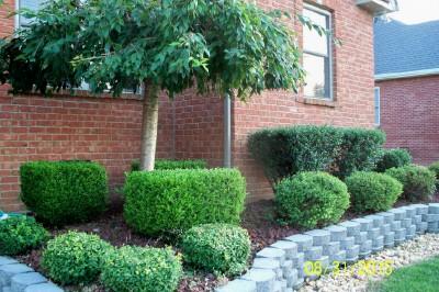 200 Foxrun Springfield, TN 37172 - Photo 15 of 20 Nice landscaping! Great curb appeal!