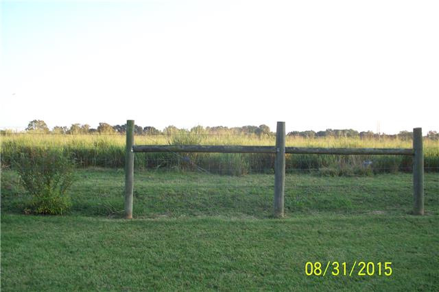 200 Foxrun Springfield, TN 37172 - Photo 19 of 20 You just cannot ask for a better view! Home backs up to private farm! Watch the wild life from your back yard!
