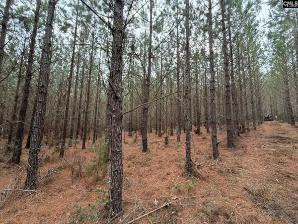 $59,900 | 2 Jc Barefoot Road, Unit BFF II 2, Patrick, SC 29584