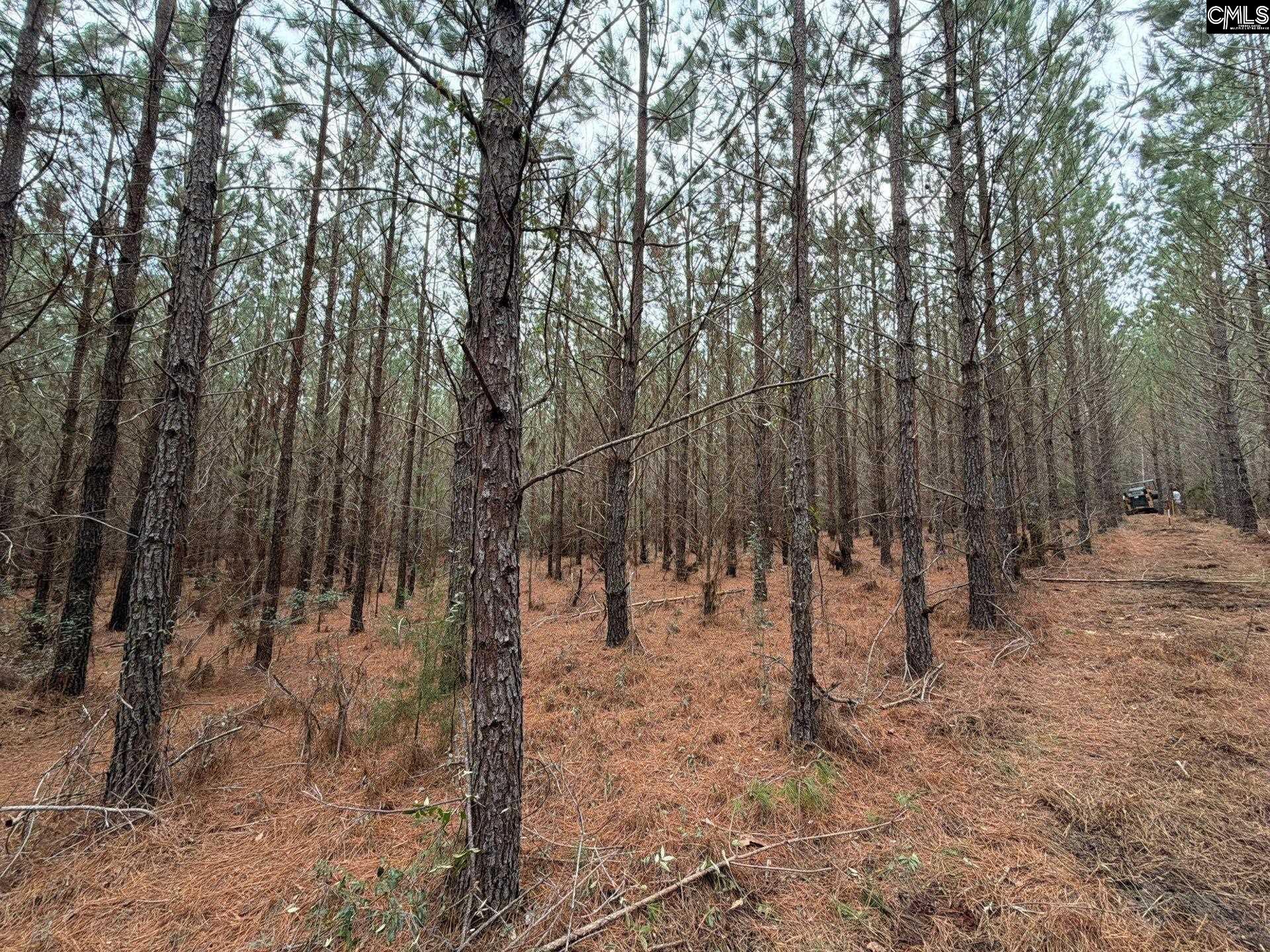 2 Jc Barefoot Road, Unit BFF II 2 Patrick, SC 29584 - Photo 1 of 13