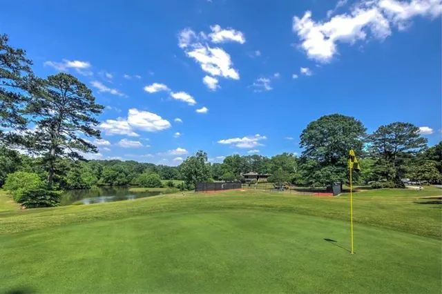 a view of a big yard with plants and large trees