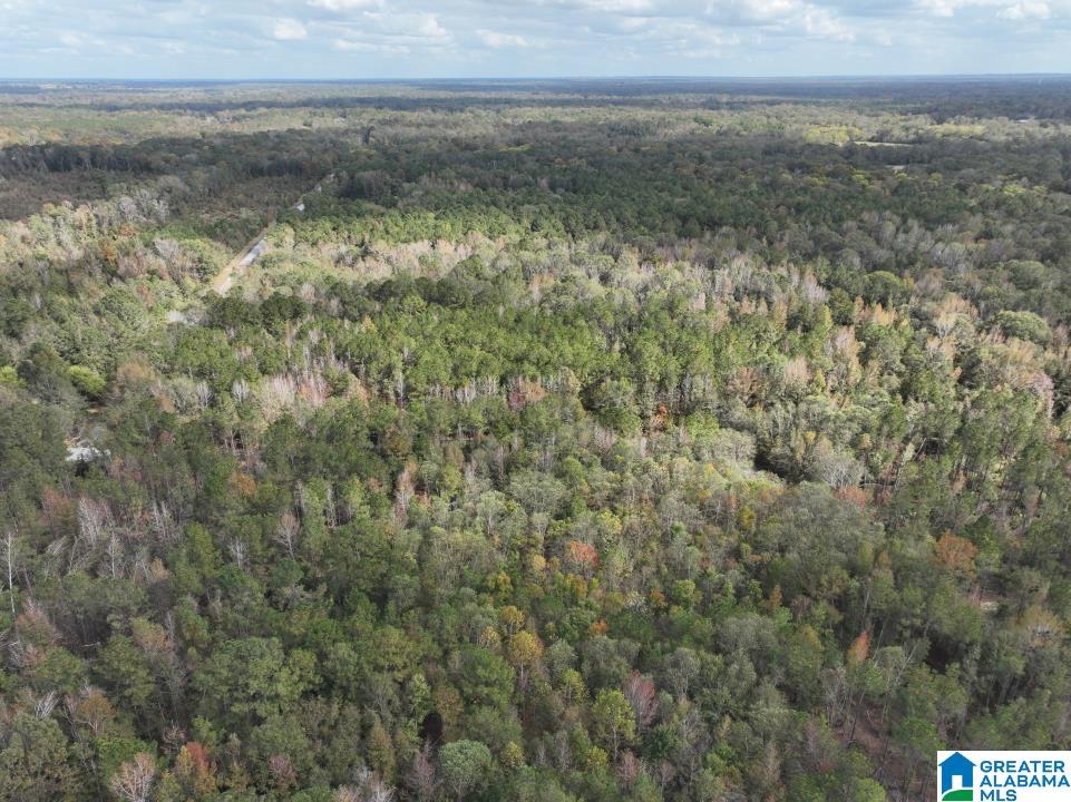 119 Plantation Road, Unit 1 Hope Hull, AL 36043 - Photo 32 of 35