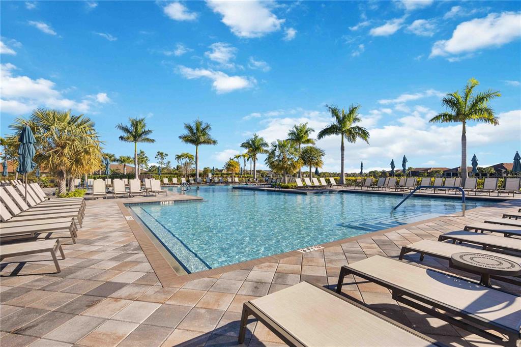 13349 Verandi Street Venice, FL 34293 - Photo 74 of 76 a view of a swimming pool and lounge chairs