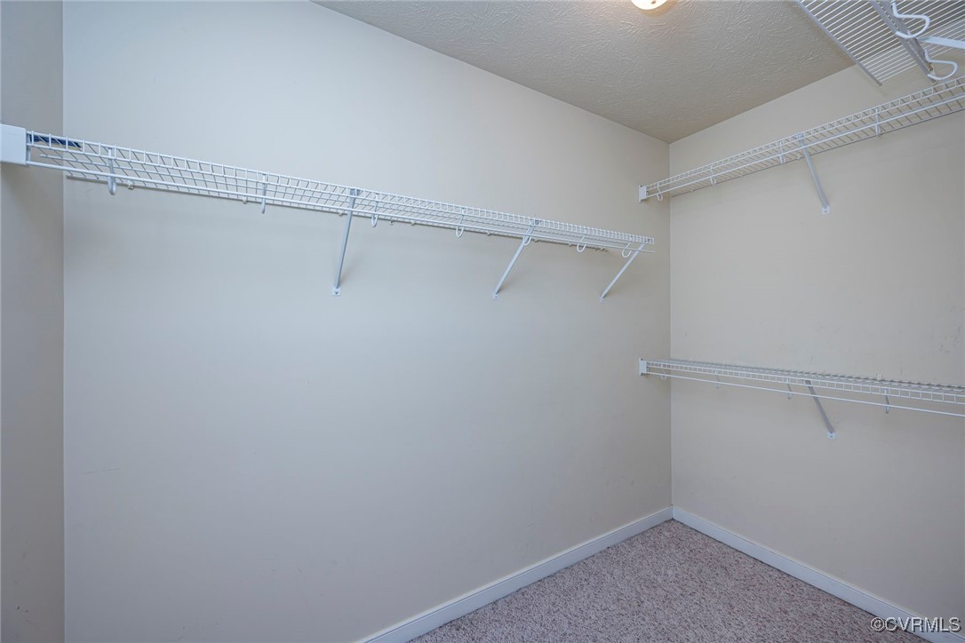 13819 Bluff Ridge Drive Chesterfield, VA 23838 - Photo 24 of 45 Primary Bedroom large walk-in closet with carpet f