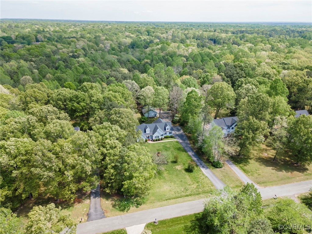 13819 Bluff Ridge Drive Chesterfield, VA 23838 - Photo 6 of 45 Aerial view of home and surrounding land