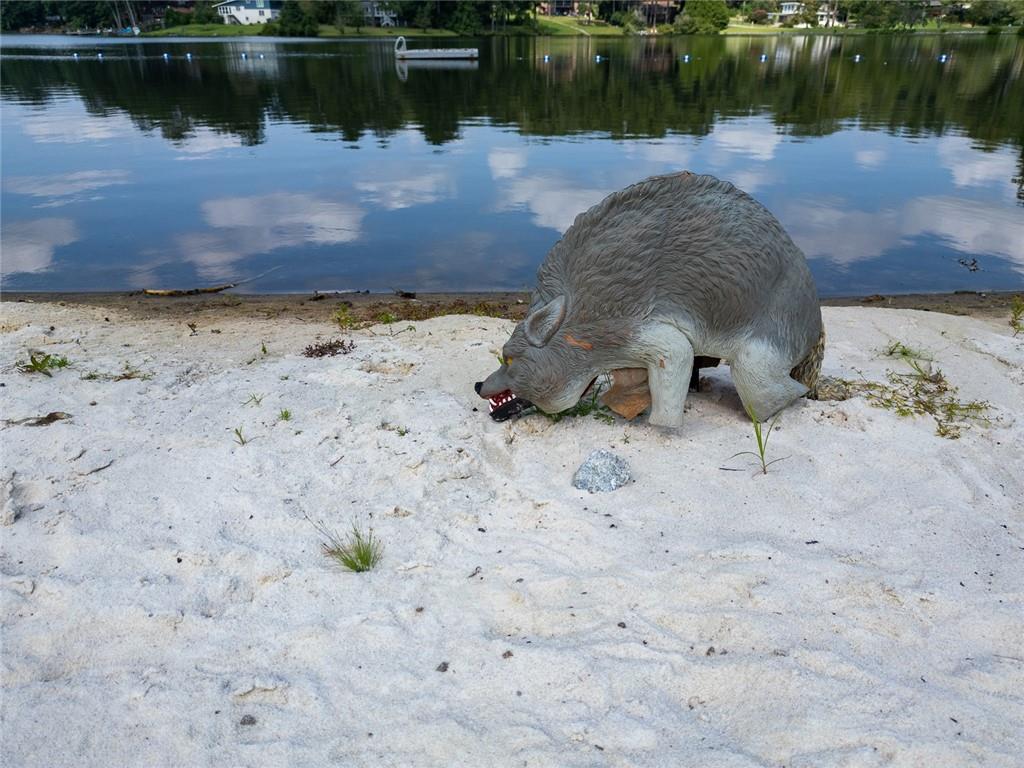 2966 Riviera Drive Conyers, GA 30012 - Photo 60 of 63 a view of a lake with a yard and covered by side of lake