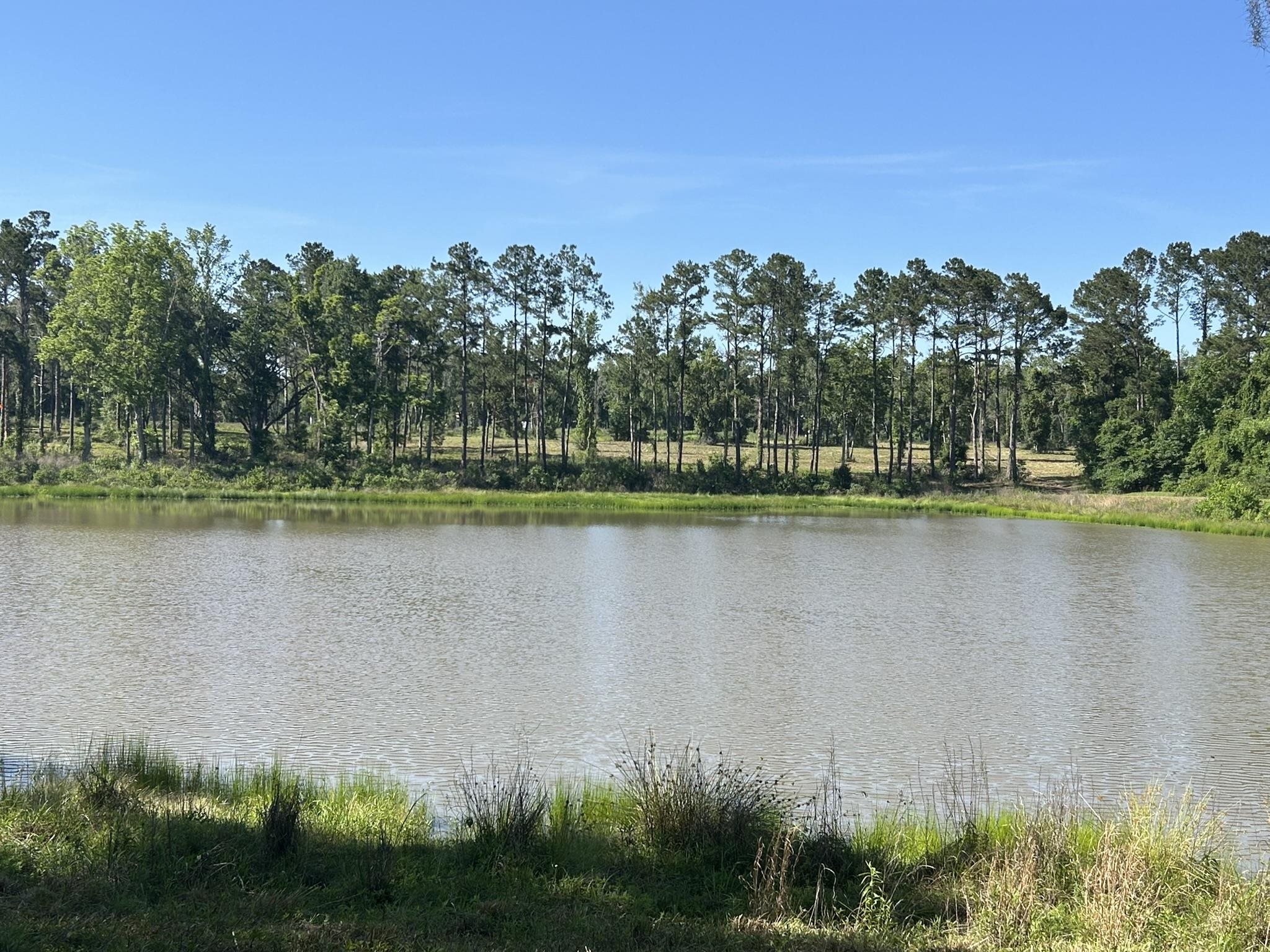 Xxx Ben Bostick Road Quincy, FL 32351 - Photo 15 of 20