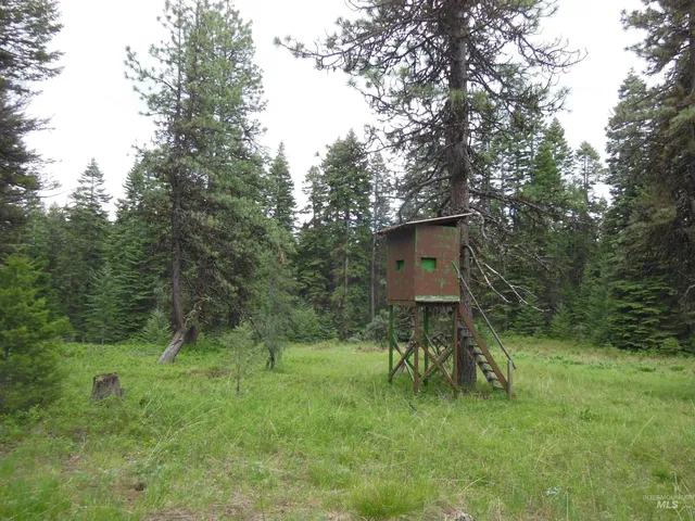 $319,000 | 3695 West Mountain Road, Anatone, WA 99401