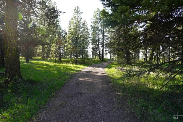 $319,000 | 3695 West Mountain Road, Anatone, WA 99401