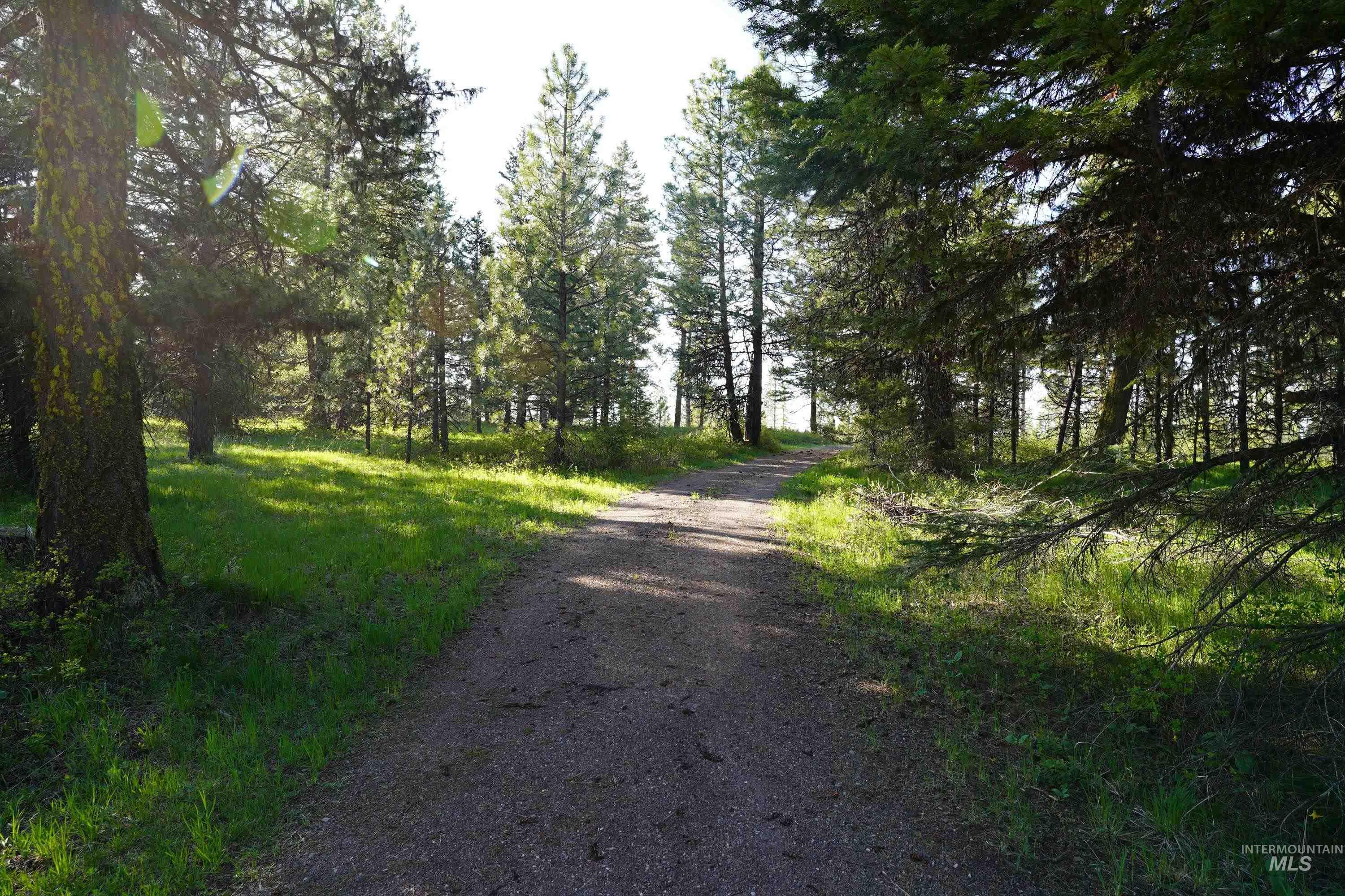 3695 West Mountain Road Anatone, WA 99401 - Photo 38 of 41