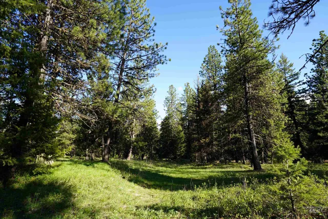 $319,000 | 3695 West Mountain Road, Anatone, WA 99401