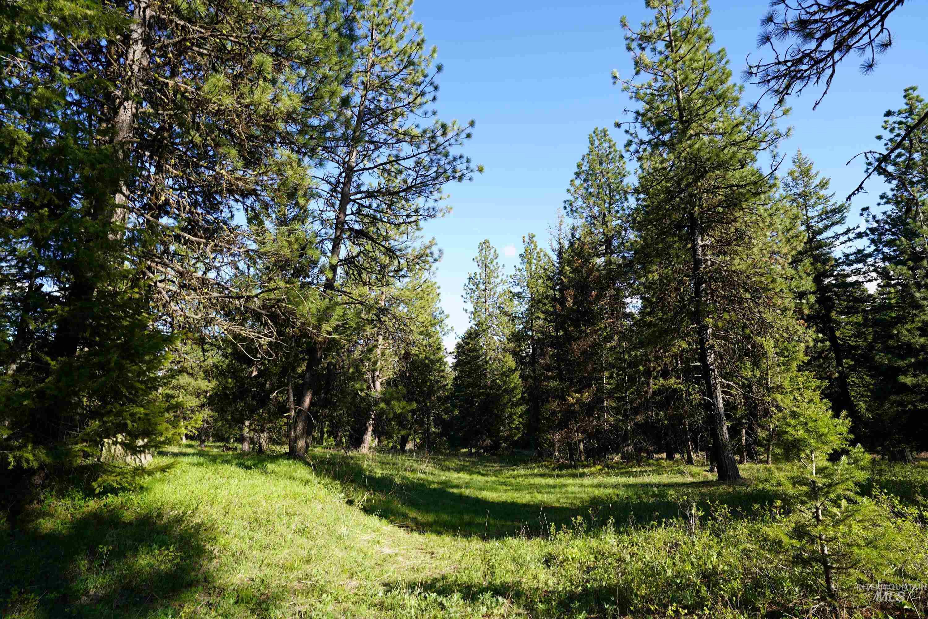 3695 West Mountain Road Anatone, WA 99401 - Photo 39 of 41