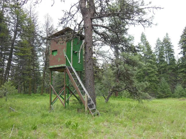 $319,000 | 3695 West Mountain Road, Anatone, WA 99401