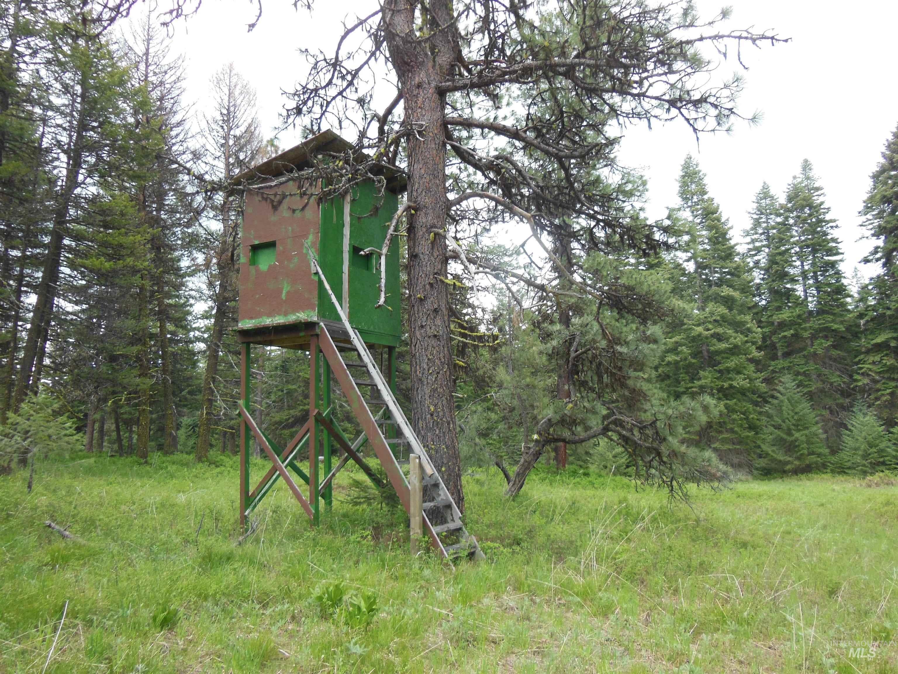 3695 West Mountain Road Anatone, WA 99401 - Photo 40 of 41