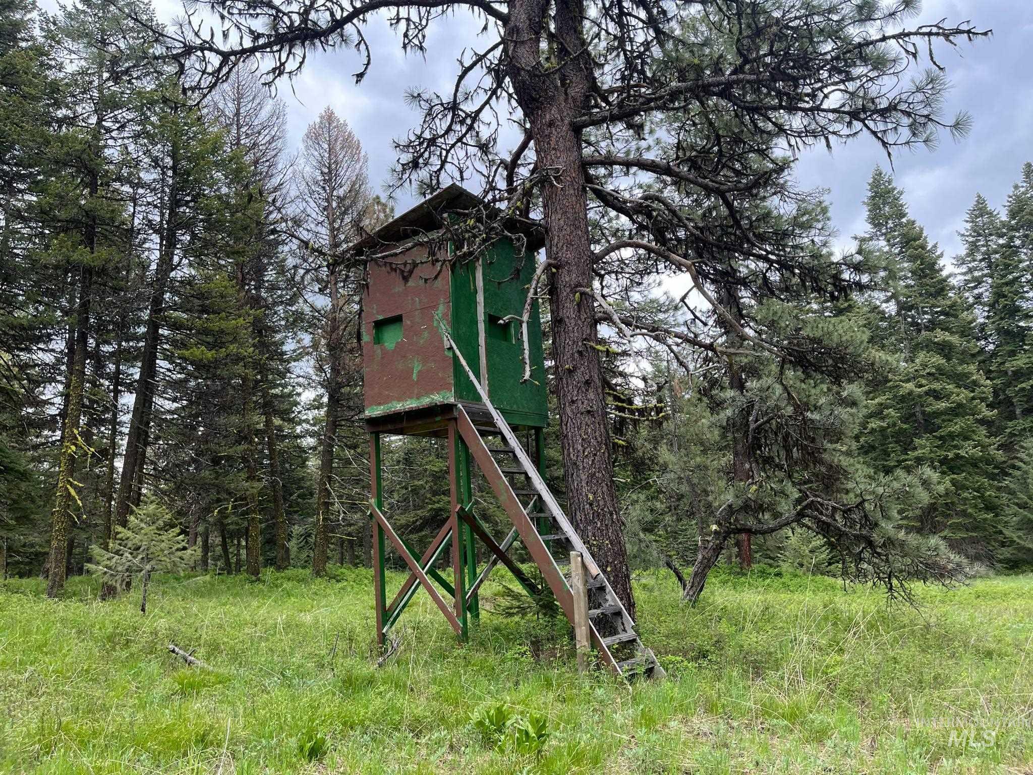 3695 West Mountain Road Anatone, WA 99401 - Photo 6 of 41