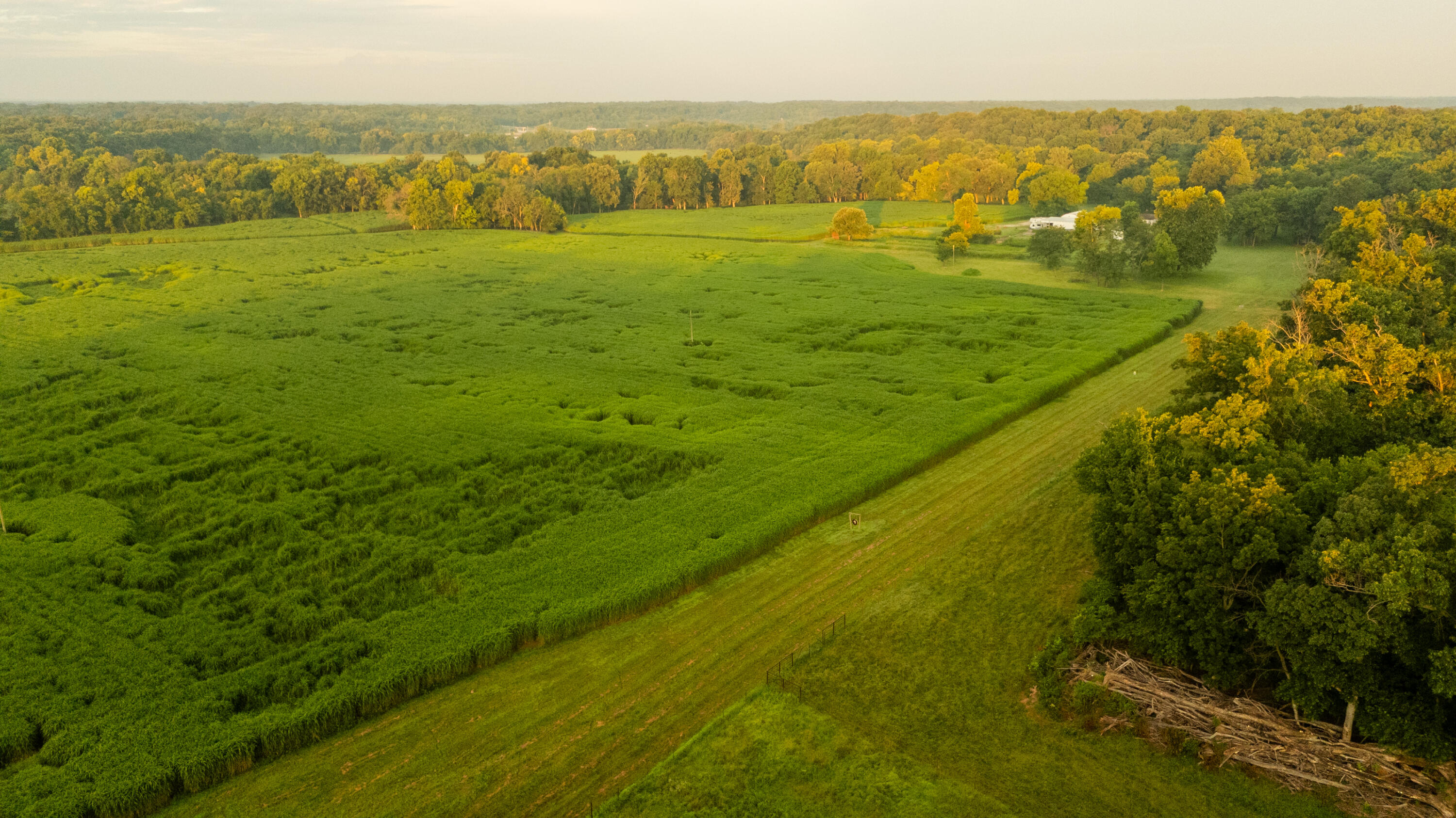 5492 Cedar Lane Reeds, MO 64859 - Photo 4 of 77 Jasper129drone(MLSRES)-18