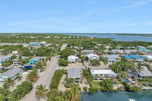 an aerial view of residential houses with outdoor space and trees