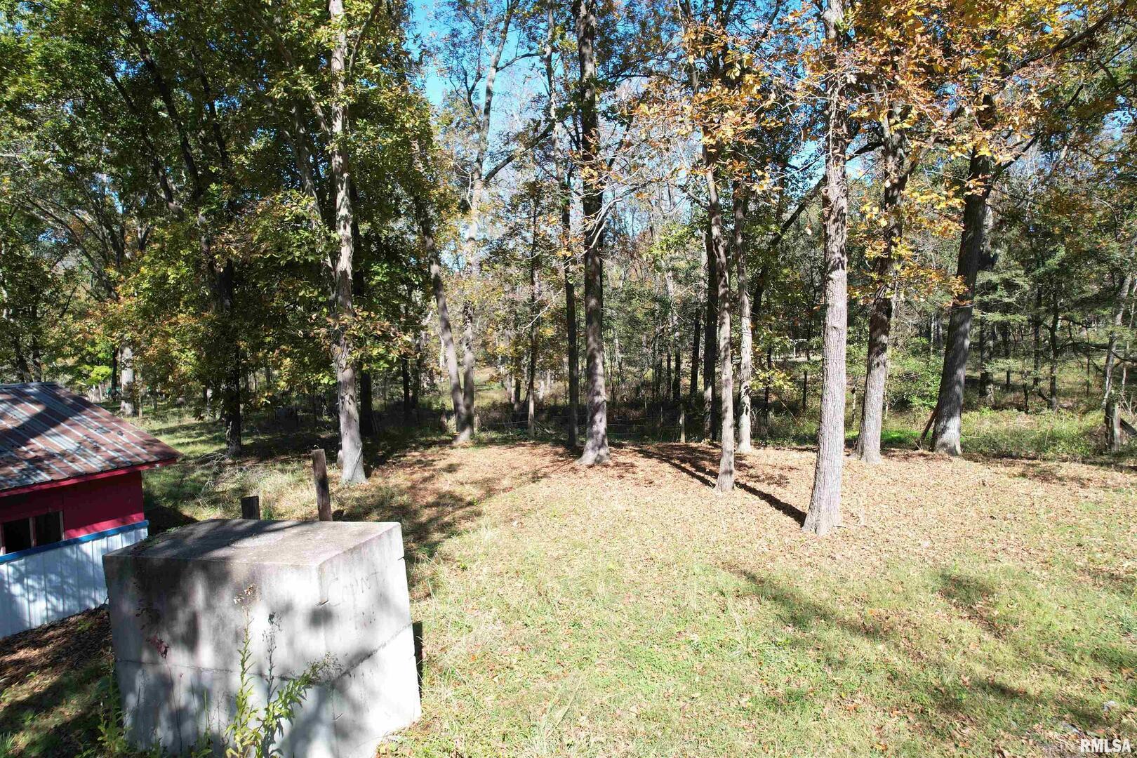 0 Lusk Road Golconda, IL 62938 - Photo 4 of 10 a view of a yard with trees