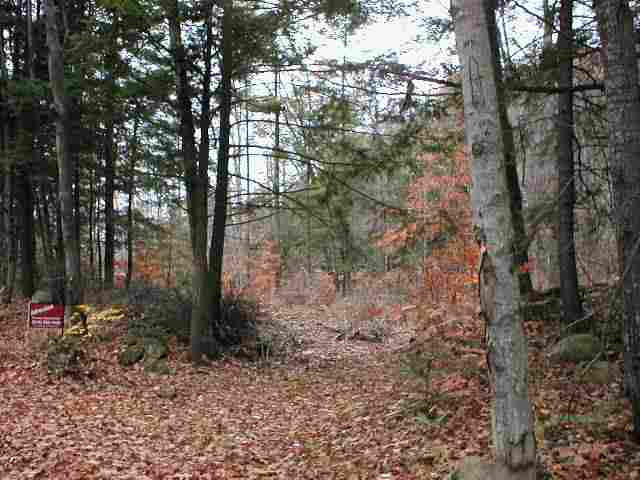 0 Thomas Road Lake Luzerne, NY 12846 - Photo 1 of 3 Photo 1