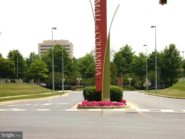 a view of a park with palm trees