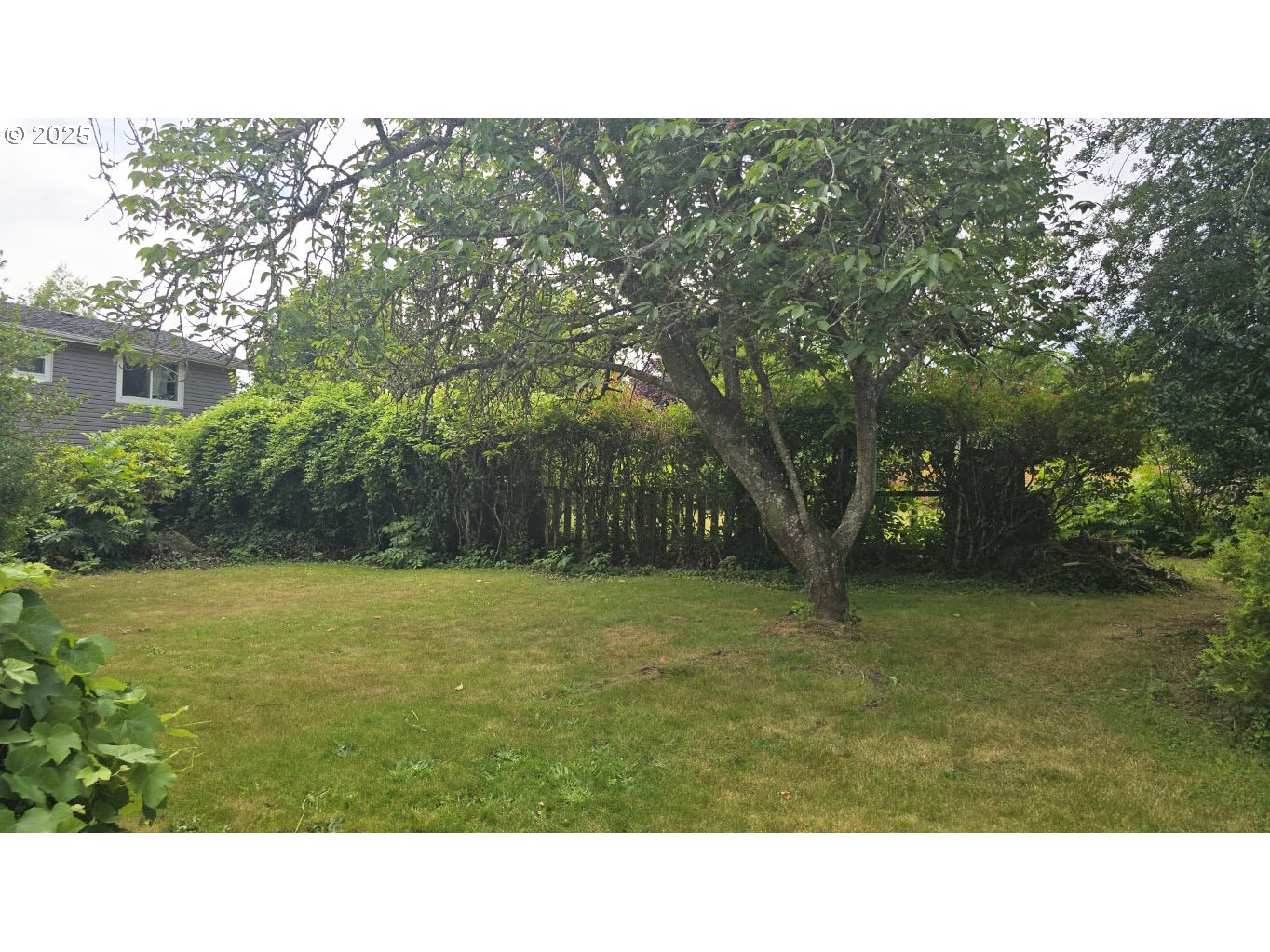 19520 Southwest Kinnaman Road Beaverton, OR 97078 - Photo 39 of 47 a black and white photo of a house