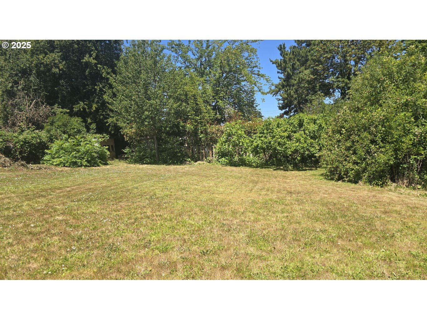 19520 Southwest Kinnaman Road Beaverton, OR 97078 - Photo 42 of 47 a open area with trees in the background