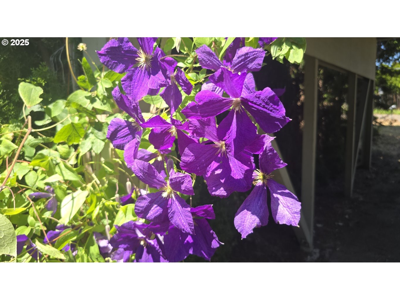 19520 Southwest Kinnaman Road Beaverton, OR 97078 - Photo 45 of 47 a black and white photo of a room