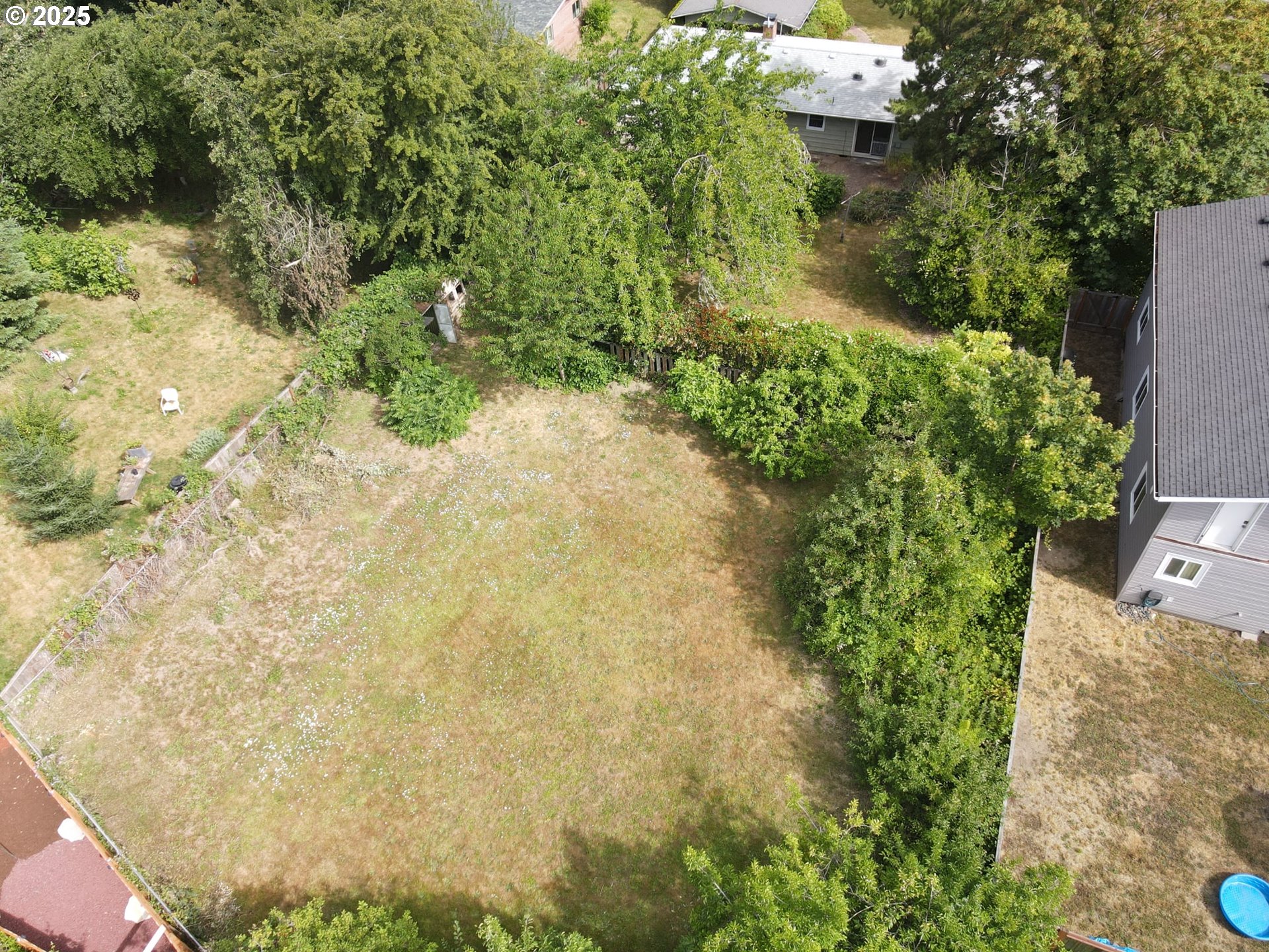 19520 Southwest Kinnaman Road Beaverton, OR 97078 - Photo 47 of 47 a close up of a plant in a garden