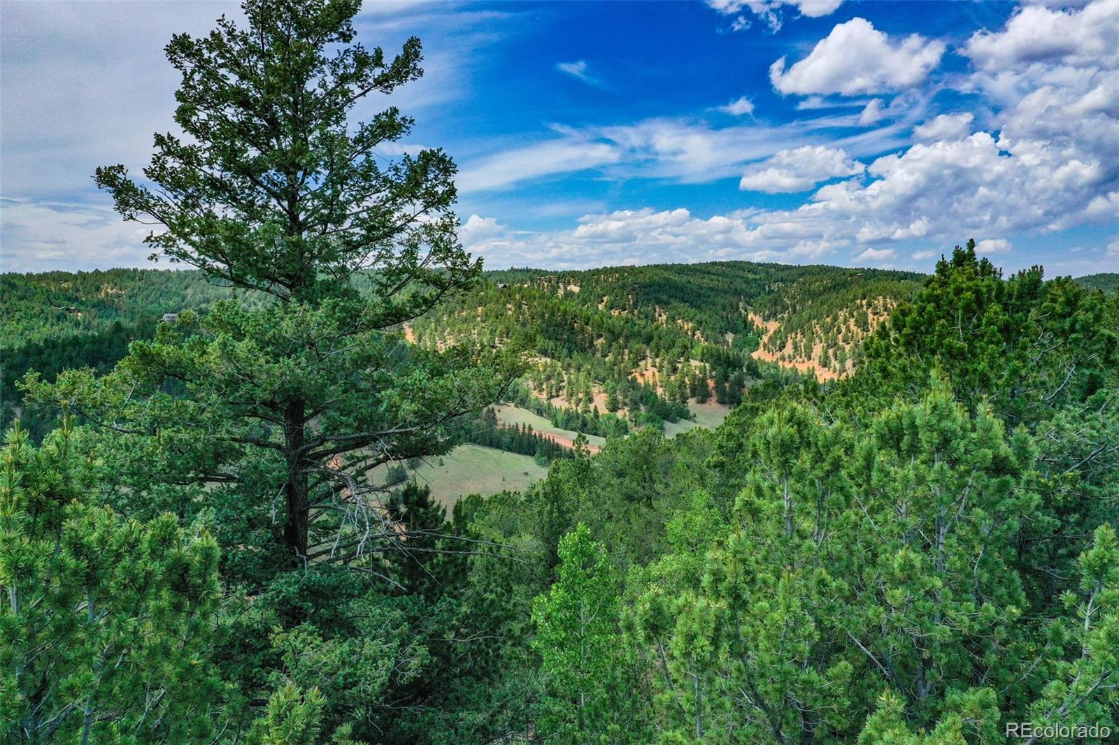 773 Timber Ridge Road Divide, CO 80814 - Photo 8 of 15 a view of a lake from a yard