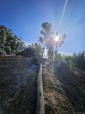 a view of a big yard with lots of green space