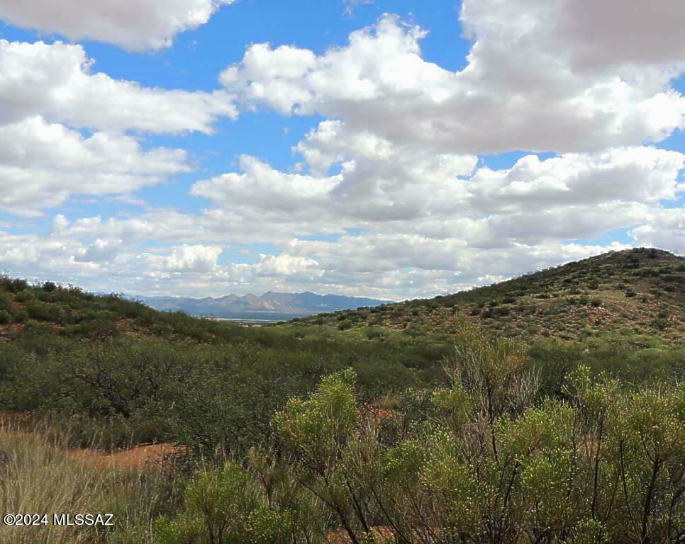77 North Rambling Road, Unit 3/100 Elfrida, AZ 85610 - Photo 11 of 19
