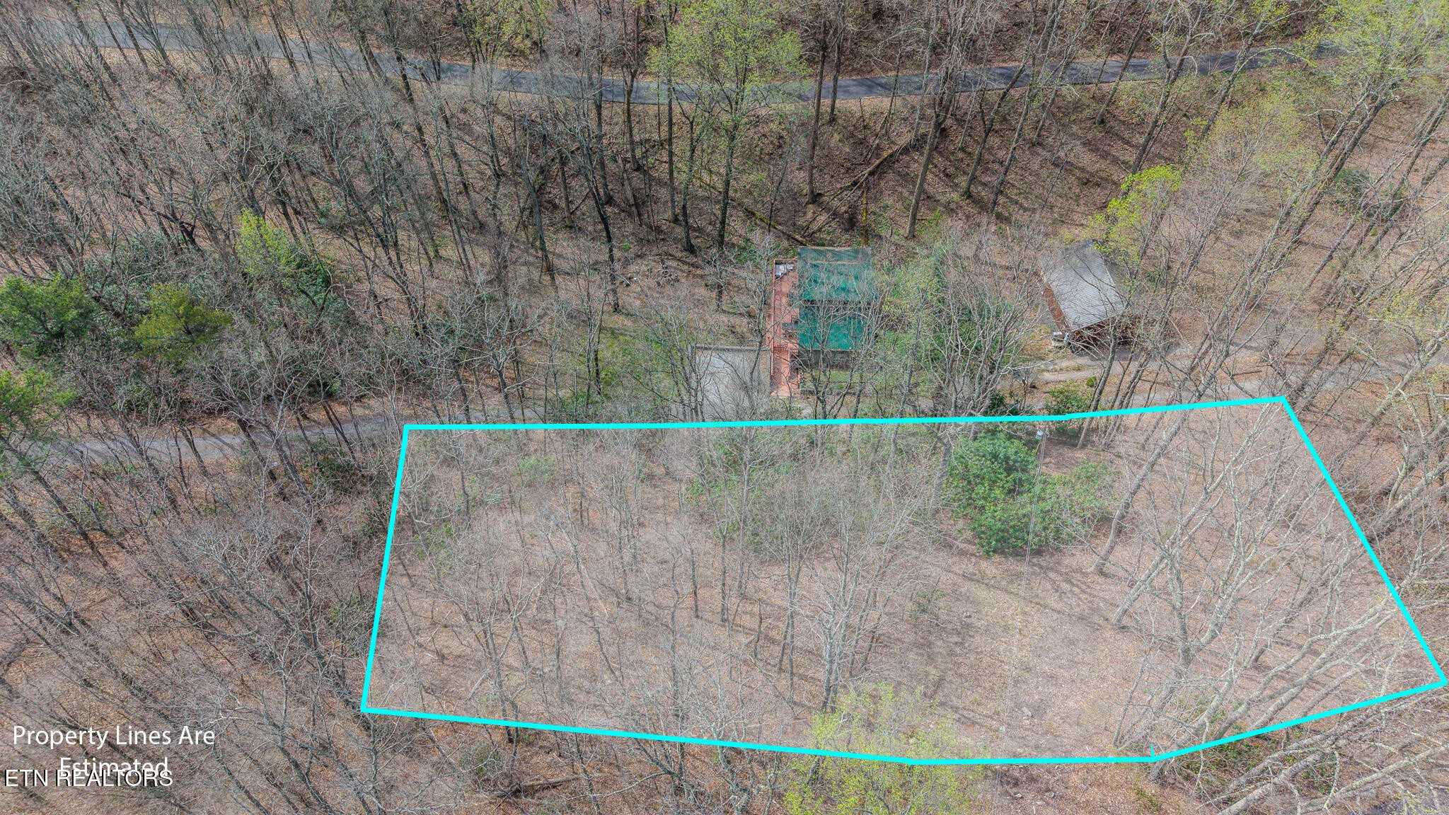 0 Bluff Mountain Road Sevierville, TN 37876 - Photo 1 of 11 Gallery Image 1