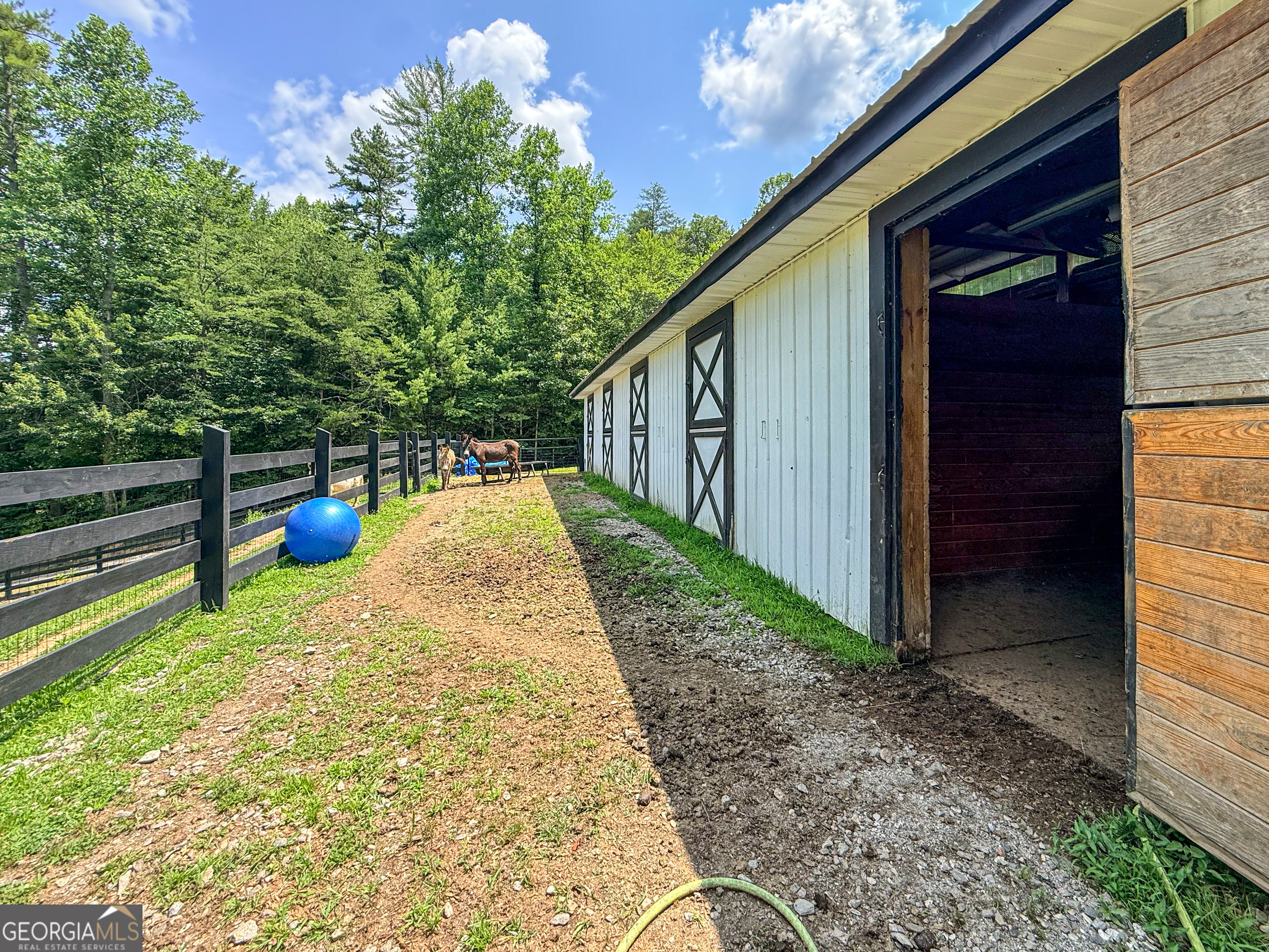 771 Burgess Gap Road Morganton, GA 30560 - Photo 22 of 43