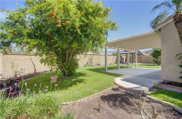 a view of a backyard with table and chairs potted plants and large tree