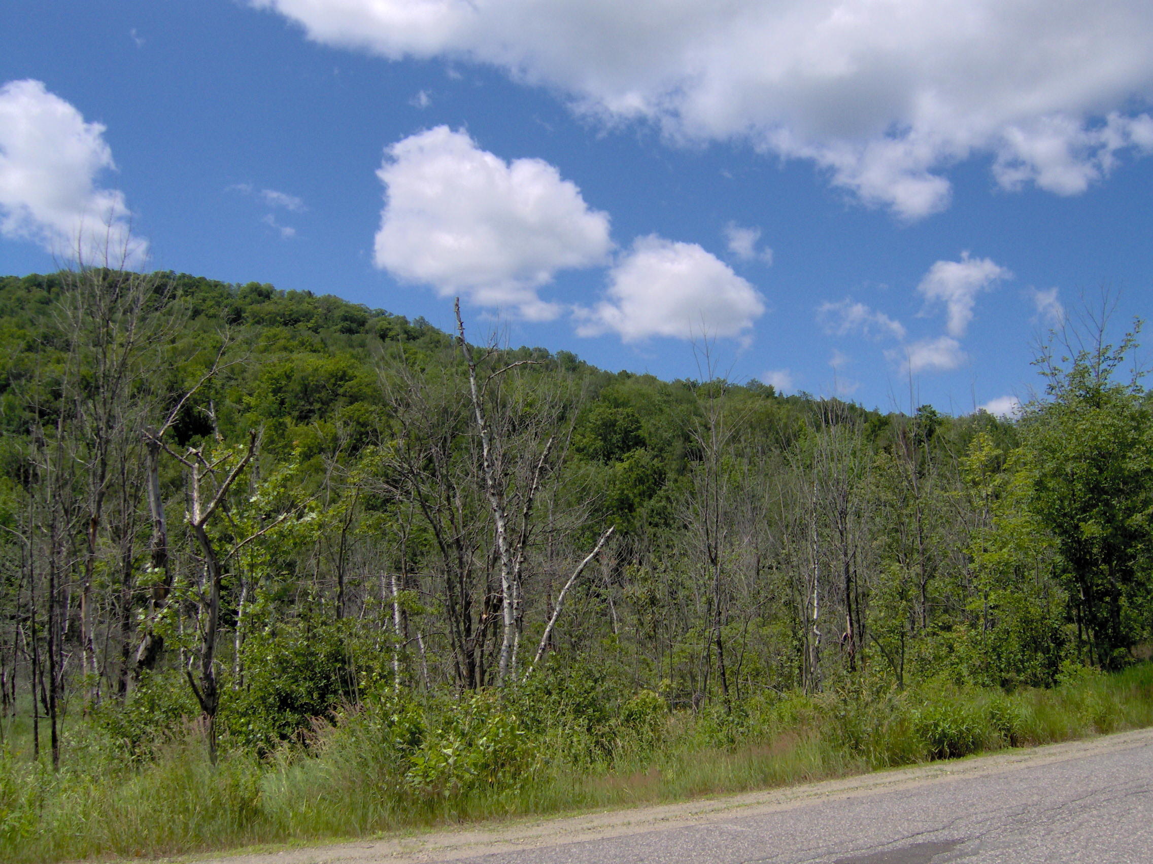 Tbd Intervale Road Temple, ME 04984 - Photo 4 of 16 From templ rd