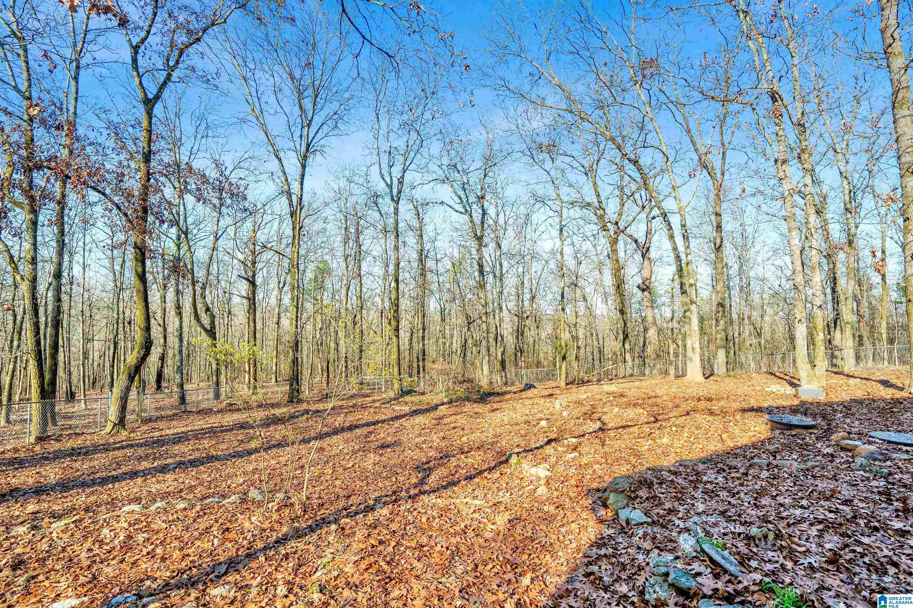 150 Chestnut Drive Alabaster, AL 35007 - Photo 50 of 61